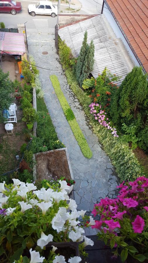 Vila Sentic Vranje Exteriör bild