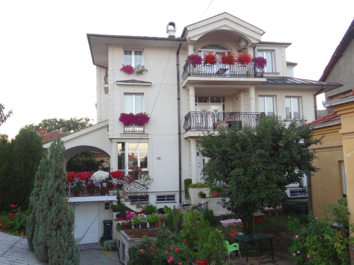 Vila Sentic Vranje Exteriör bild