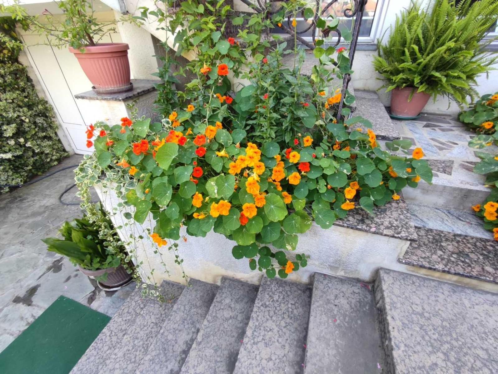 Vila Sentic Vranje Exteriör bild