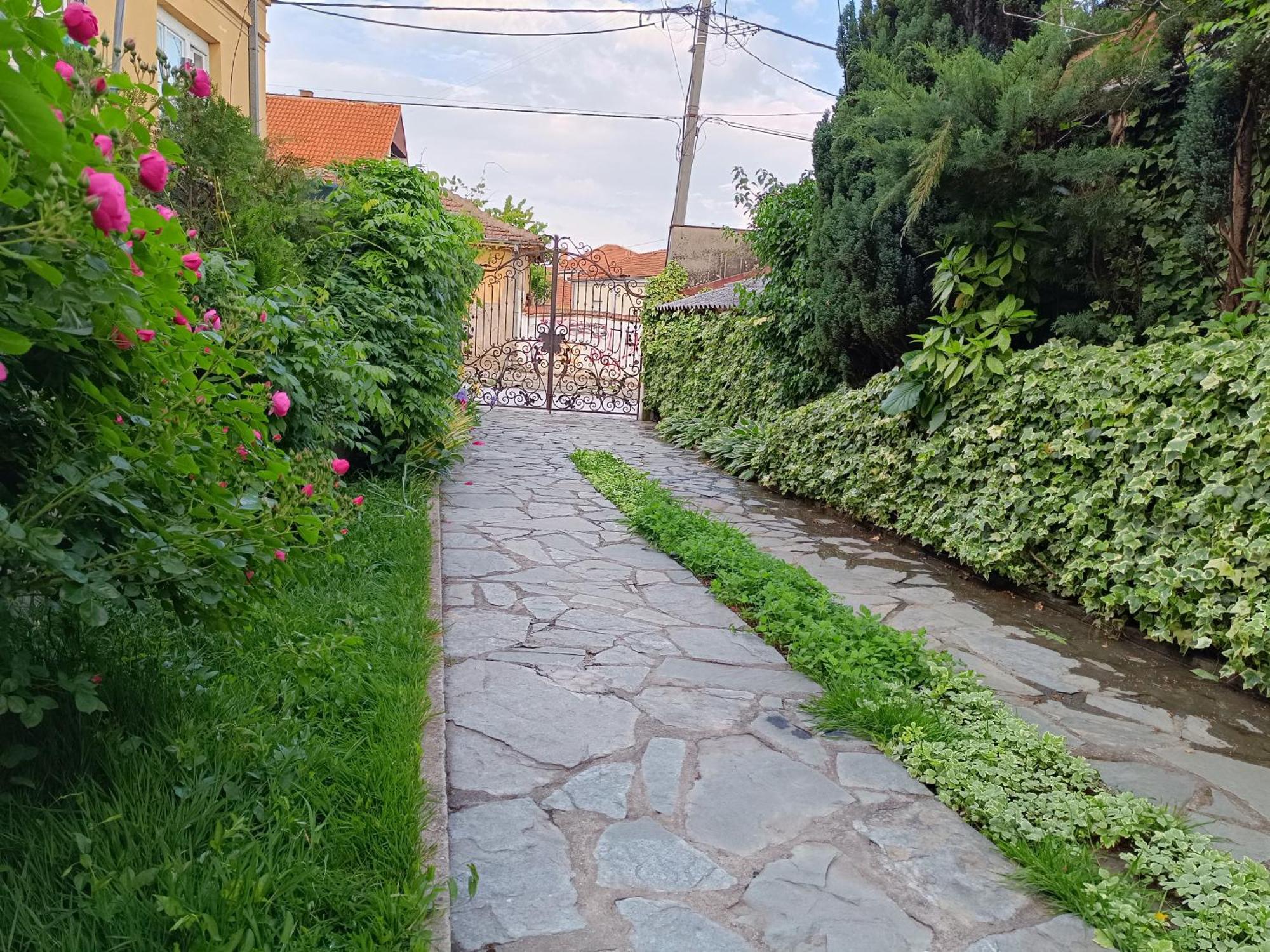Vila Sentic Vranje Exteriör bild