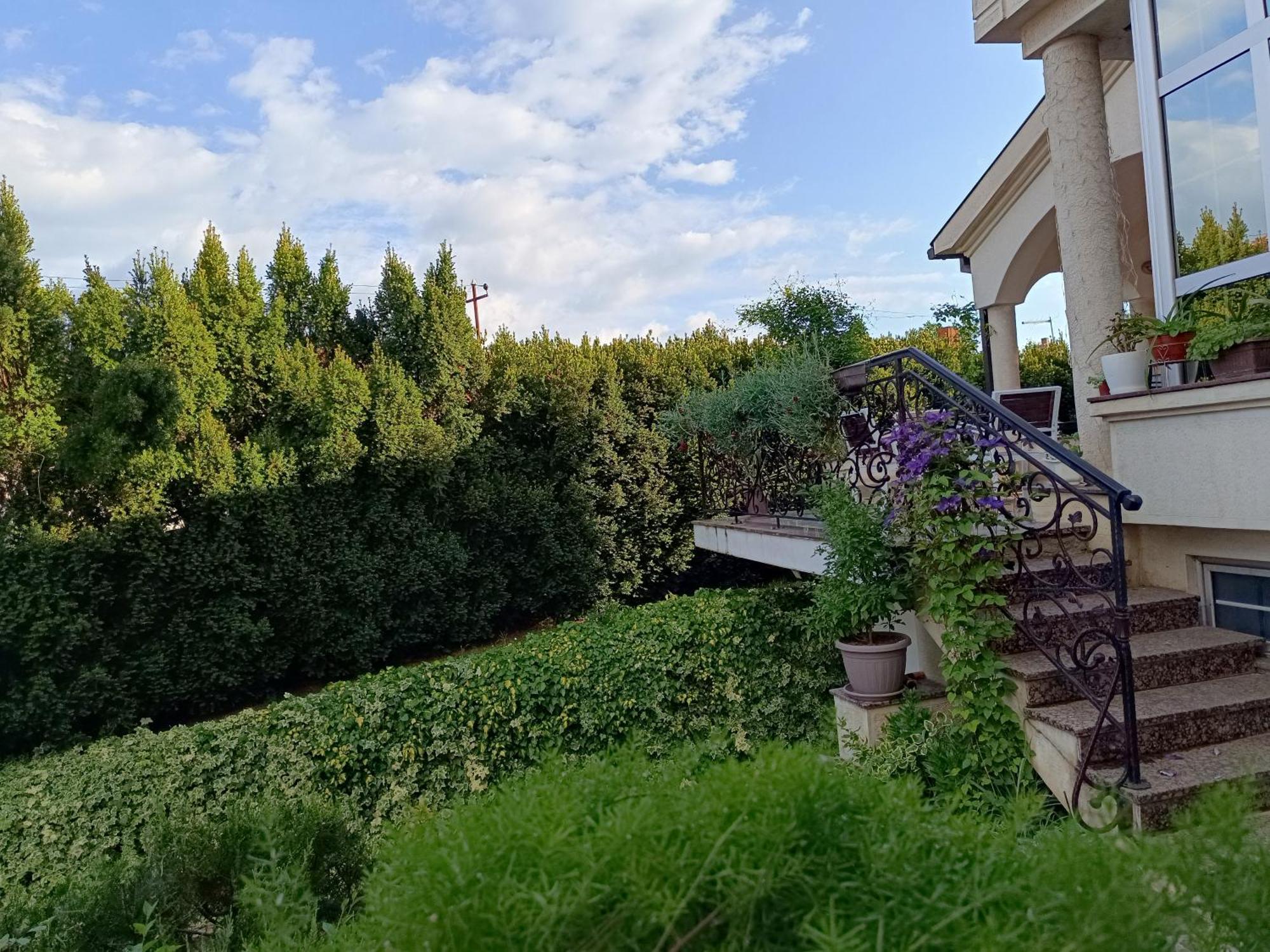 Vila Sentic Vranje Exteriör bild