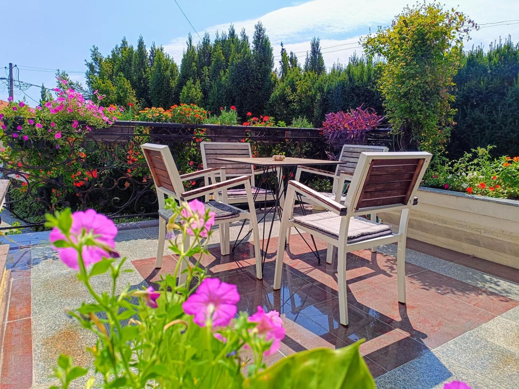 Vila Sentic Vranje Exteriör bild