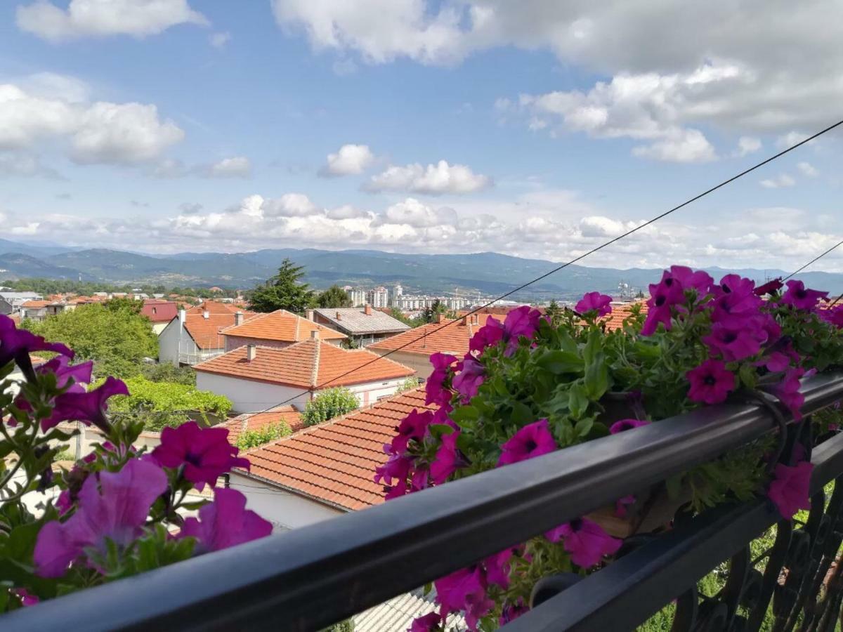 Vila Sentic Vranje Exteriör bild