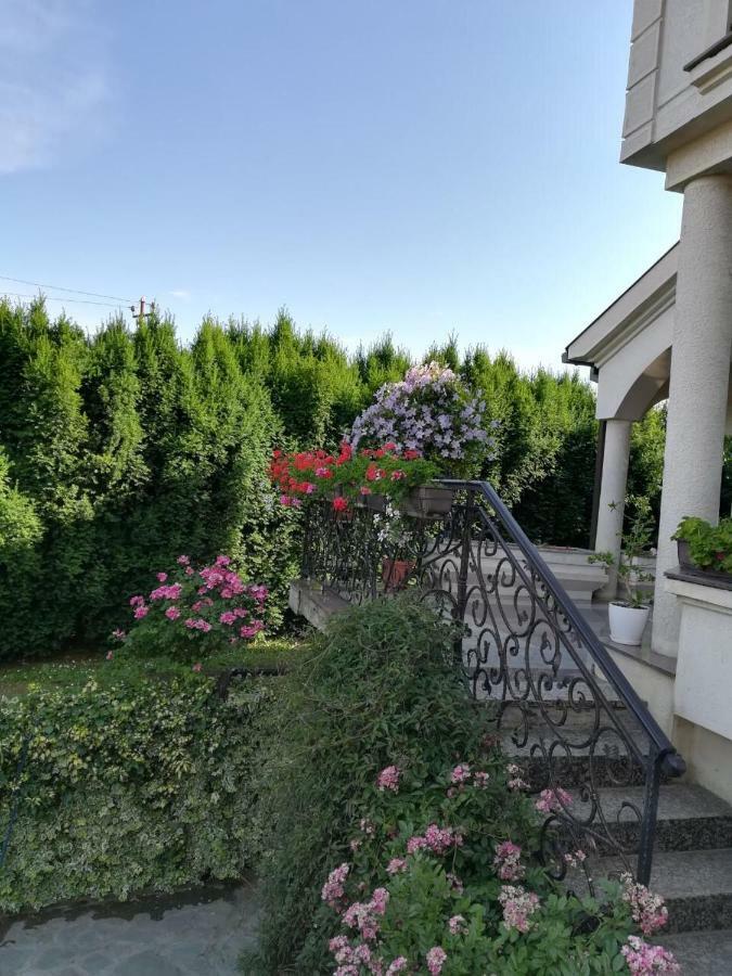 Vila Sentic Vranje Exteriör bild