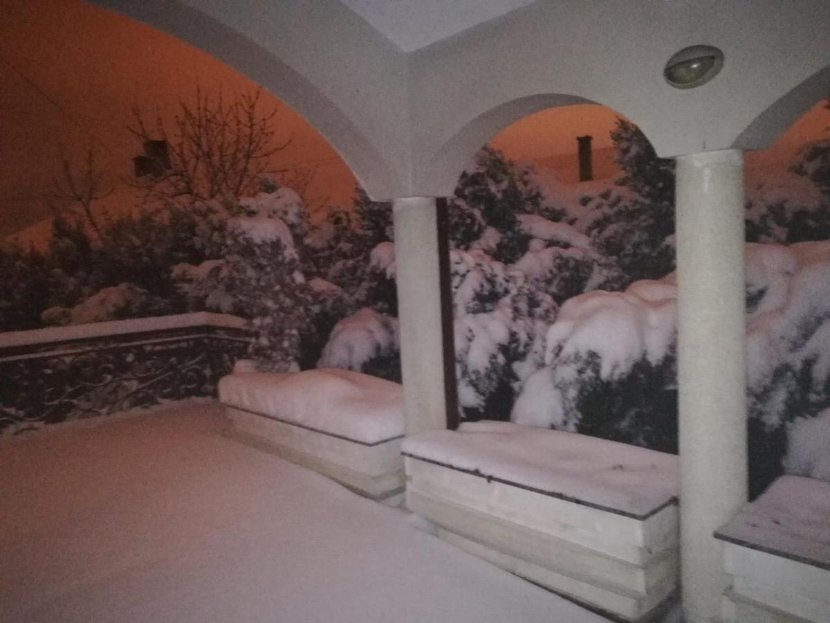 Vila Sentic Vranje Exteriör bild